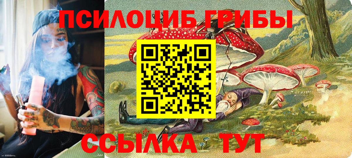 Псилоцибиновые грибы MAGIC MUSHROOMS Ейск
