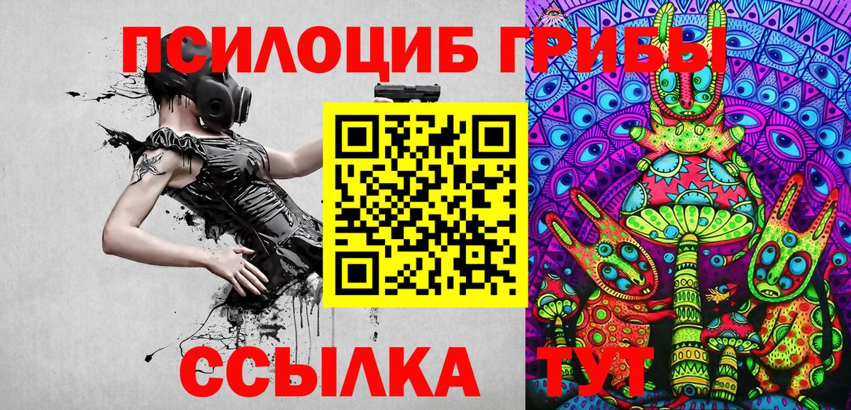Ейск  Псилоцибиновые грибы Magic Shrooms  закладка  Вход с VPN 